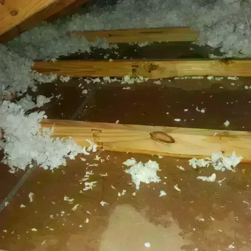 Attic Water Damage in Yates Center, KS