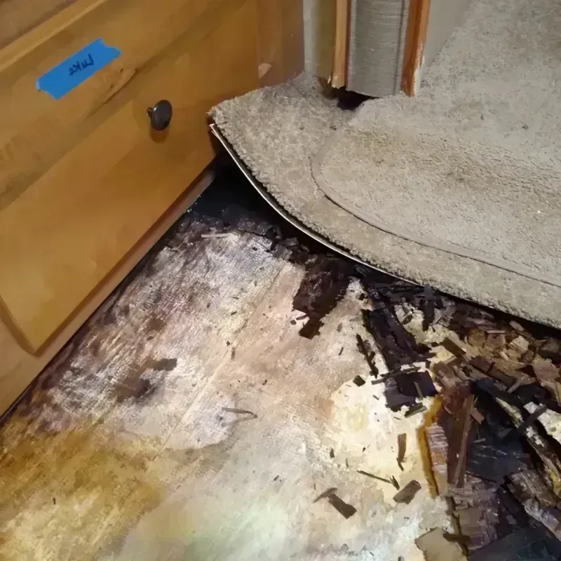 Best Wood Floor Water Damage Service in Yates Center, KS